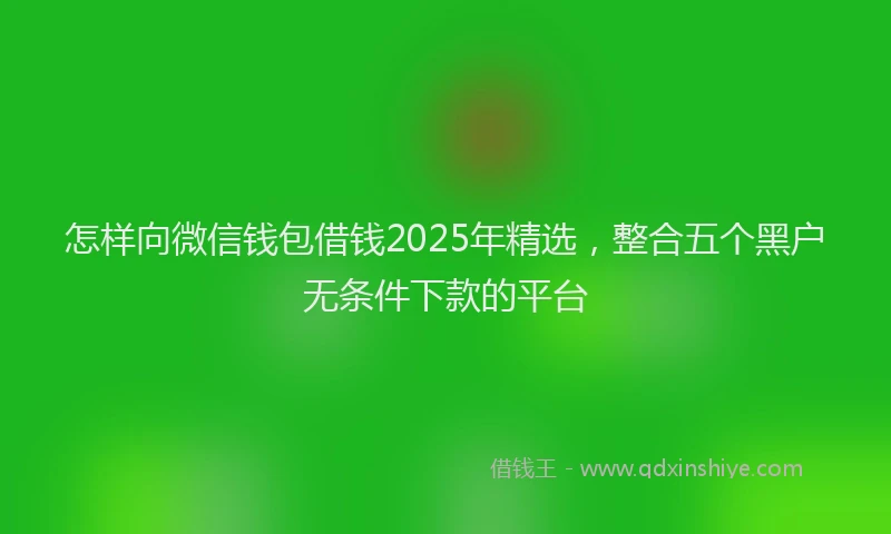 怎样向微信钱包借钱2025年精选，整合五个黑户无条件下款的平台