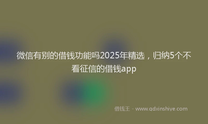 微信有别的借钱功能吗2025年精选，归纳5个不看征信的借钱app
