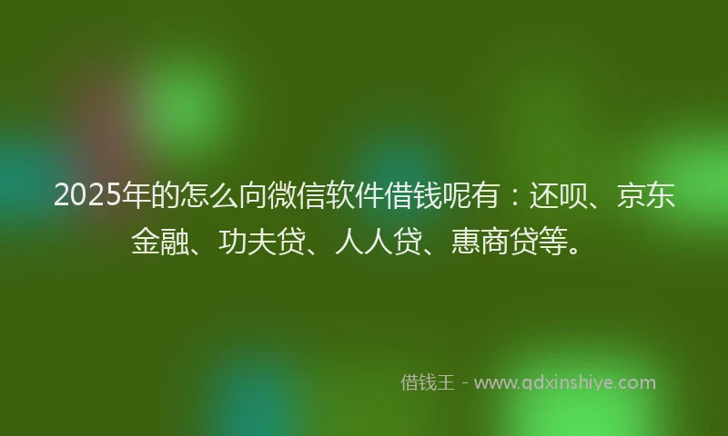 2025年的怎么向微信软件借钱呢有：还呗、京东金融、功夫贷、人人贷、惠商贷等。