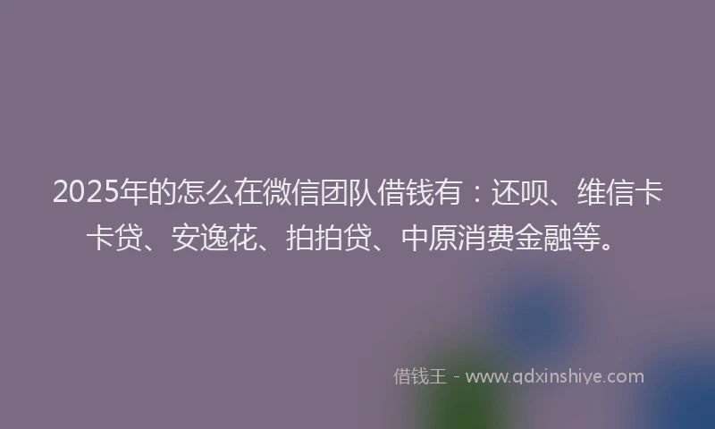 2025年的怎么在微信团队借钱有：还呗、维信卡卡贷、安逸花、拍拍贷、中原消费金融等。