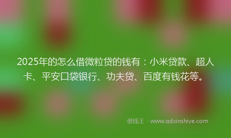 2025年的怎么借微粒贷的钱有：小米贷款、超人卡、平安口袋银行、功夫贷、百度有钱花等。