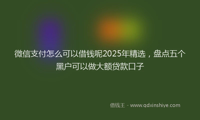 微信支付怎么可以借钱呢2025年精选，盘点五个黑户可以做大额贷款口子