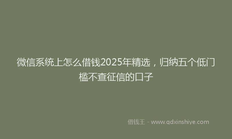 微信系统上怎么借钱2025年精选，归纳五个低门槛不查征信的口子