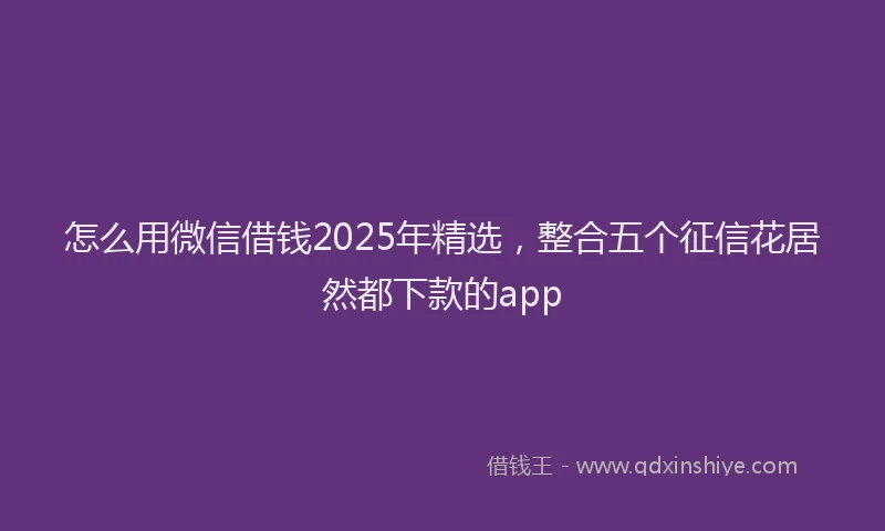 怎么用微信借钱2025年精选，整合五个征信花居然都下款的app