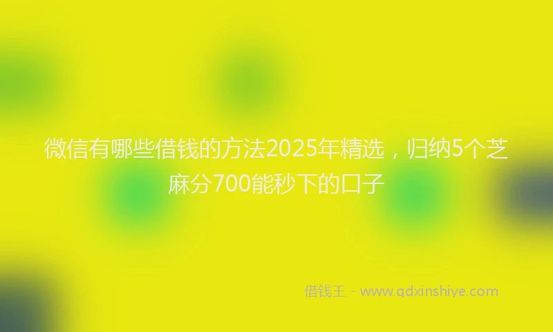 微信有哪些借钱的方法2025年精选，归纳5个芝麻分700能秒下的口子