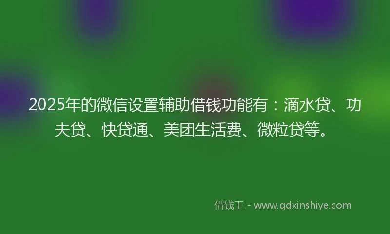 2025年的微信设置辅助借钱功能有：滴水贷、功夫贷、快贷通、美团生活费、微粒贷等。