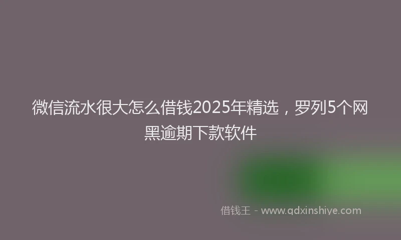微信流水很大怎么借钱2025年精选，罗列5个网黑逾期下款软件