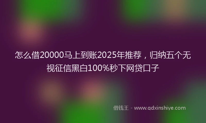 怎么借20000马上到账2025年推荐，归纳五个无视征信黑白100%秒下网贷口子