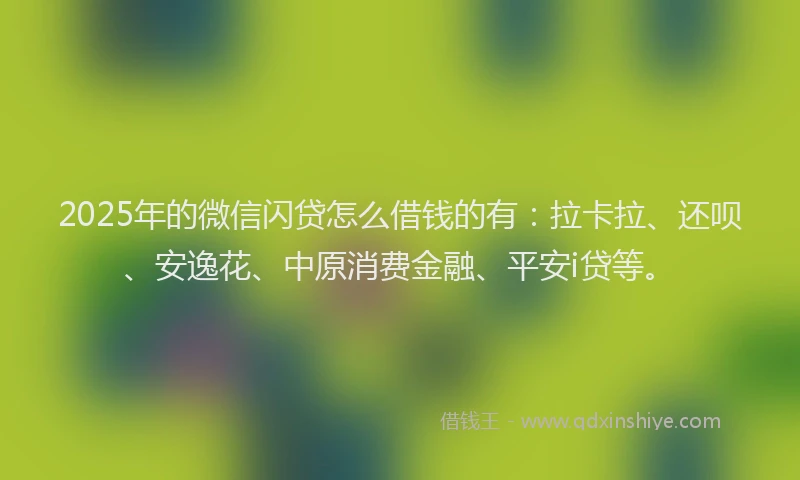 2025年的微信闪贷怎么借钱的有：拉卡拉、还呗、安逸花、中原消费金融、平安i贷等。