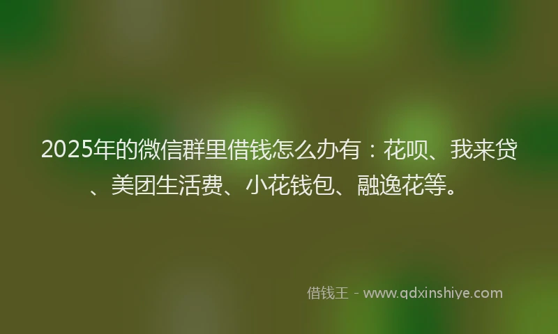 2025年的微信群里借钱怎么办有：花呗、我来贷、美团生活费、小花钱包、融逸花等。