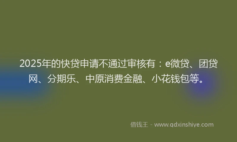 2025年的快贷申请不通过审核有：e微贷、团贷网、分期乐、中原消费金融、小花钱包等。