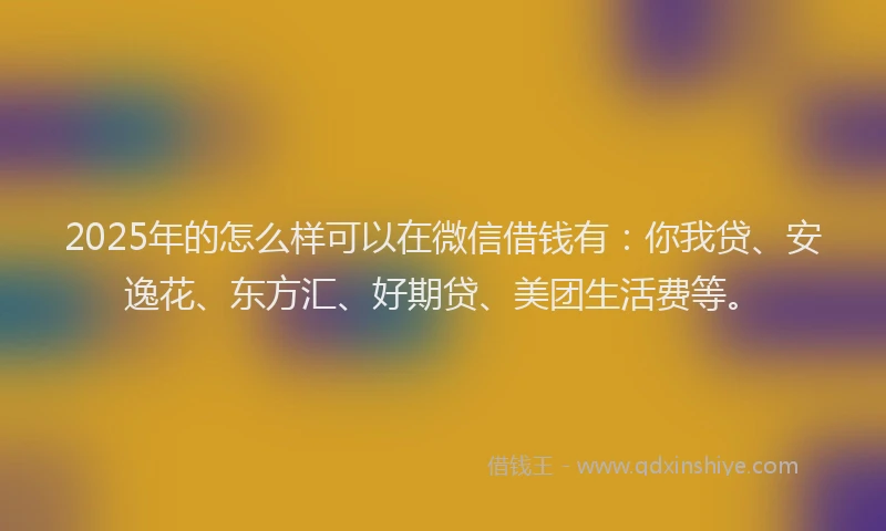 2025年的怎么样可以在微信借钱有：你我贷、安逸花、东方汇、好期贷、美团生活费等。