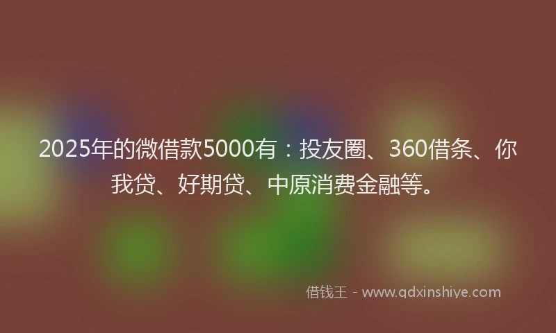 2025年的微借款5000有:投友圈、360借条、你我贷、好期贷、中原消费金融等。
