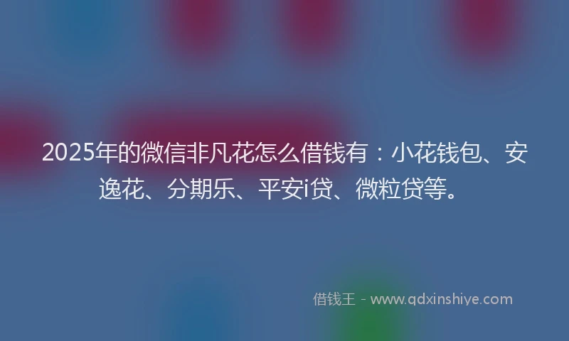 2025年的微信非凡花怎么借钱有：小花钱包、安逸花、分期乐、平安i贷、微粒贷等。
