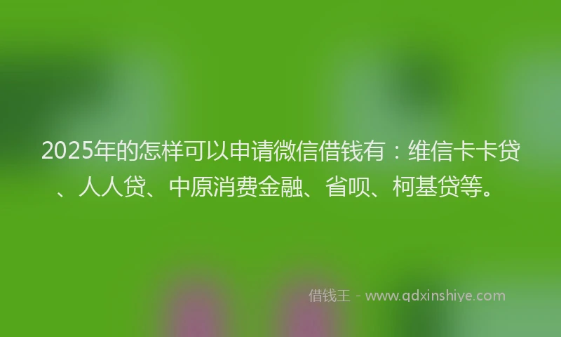 2025年的怎样可以申请微信借钱有：维信卡卡贷、人人贷、中原消费金融、省呗、柯基贷等。