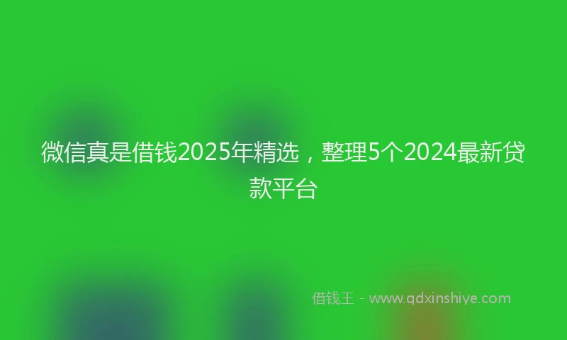 微信真是借钱2025年精选，整理5个2024最新贷款平台