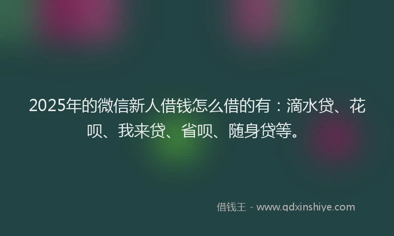 2025年的微信新人借钱怎么借的有：滴水贷、花呗、我来贷、省呗、随身贷等。