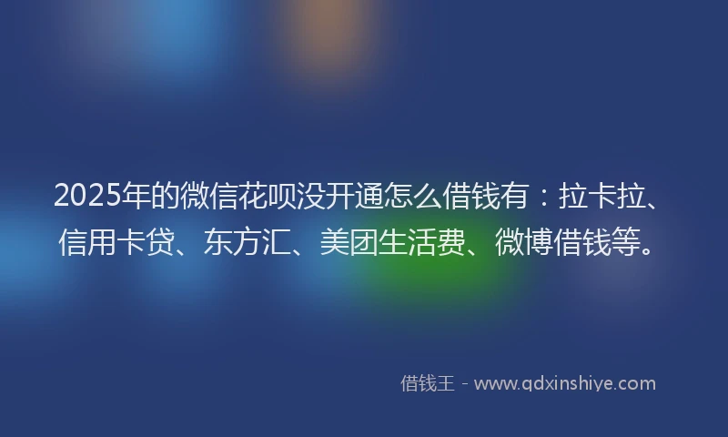 2025年的微信花呗没开通怎么借钱有：拉卡拉、信用卡贷、东方汇、美团生活费、微博借钱等。