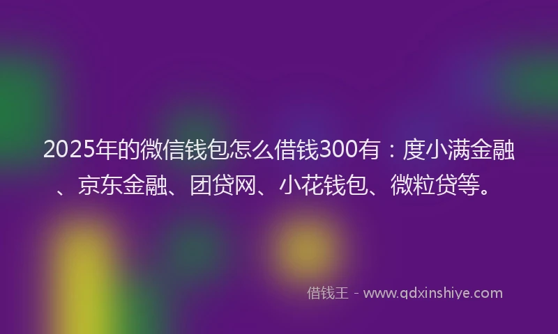 2025年的微信钱包怎么借钱300有：度小满金融、京东金融、团贷网、小花钱包、微粒贷等。
