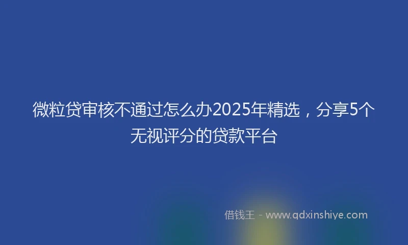 微粒贷审核不通过怎么办2025年精选，分享5个无视评分的贷款平台