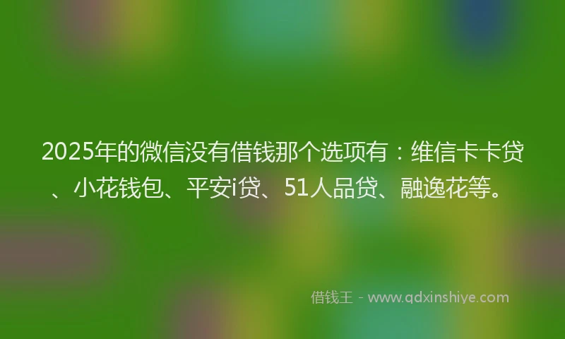 2025年的微信没有借钱那个选项有：维信卡卡贷、小花钱包、平安i贷、51人品贷、融逸花等。