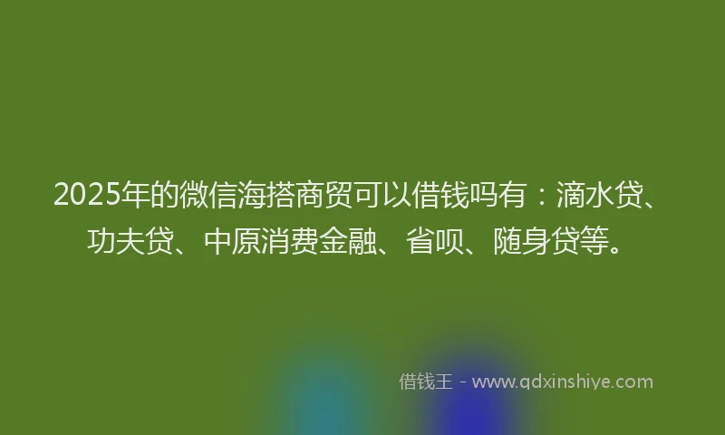 2025年的微信海搭商贸可以借钱吗有：滴水贷、功夫贷、中原消费金融、省呗、随身贷等。