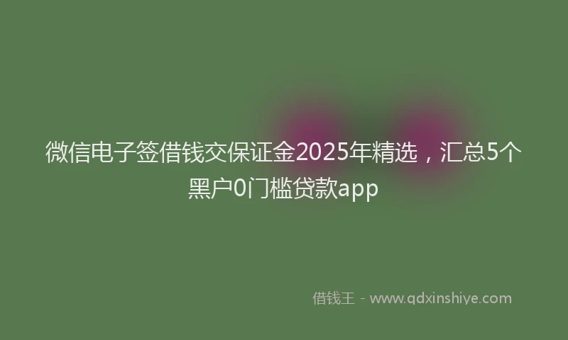微信电子签借钱交保证金2025年精选，汇总5个黑户0门槛贷款app