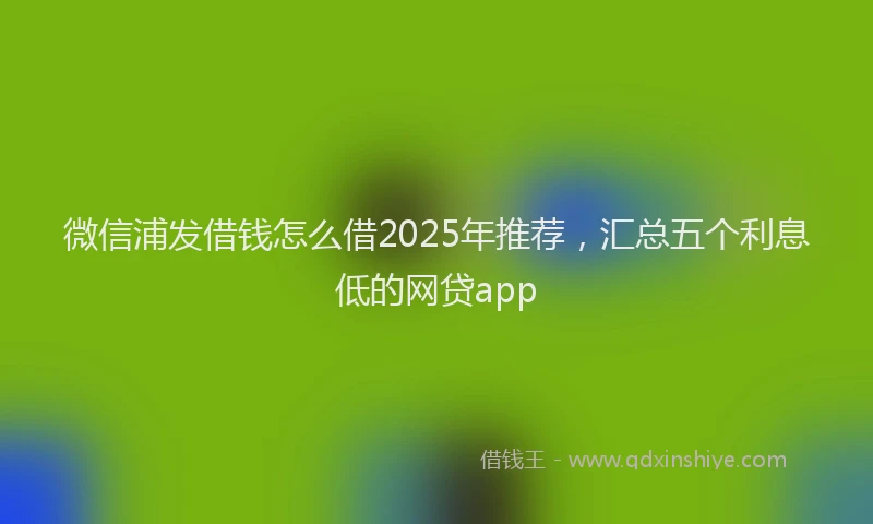 微信浦发借钱怎么借2025年推荐，汇总五个利息低的网贷app
