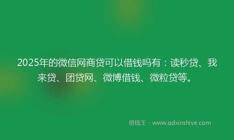 2025年的微信网商贷可以借钱吗有：读秒贷、我来贷、团贷网、微博借钱、微粒贷等。