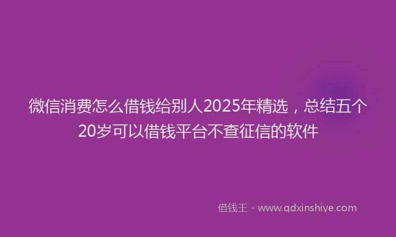 微信消费怎么借钱给别人2025年精选，总结五个20岁可以借钱平台不查征信的软件