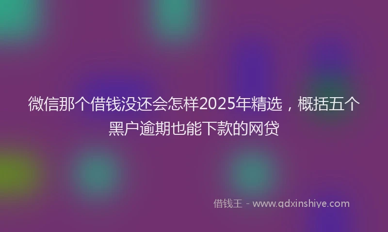 微信那个借钱没还会怎样2025年精选，概括五个黑户逾期也能下款的网贷