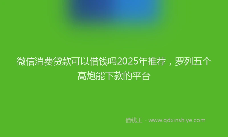 微信消费贷款可以借钱吗2025年推荐，罗列五个高炮能下款的平台