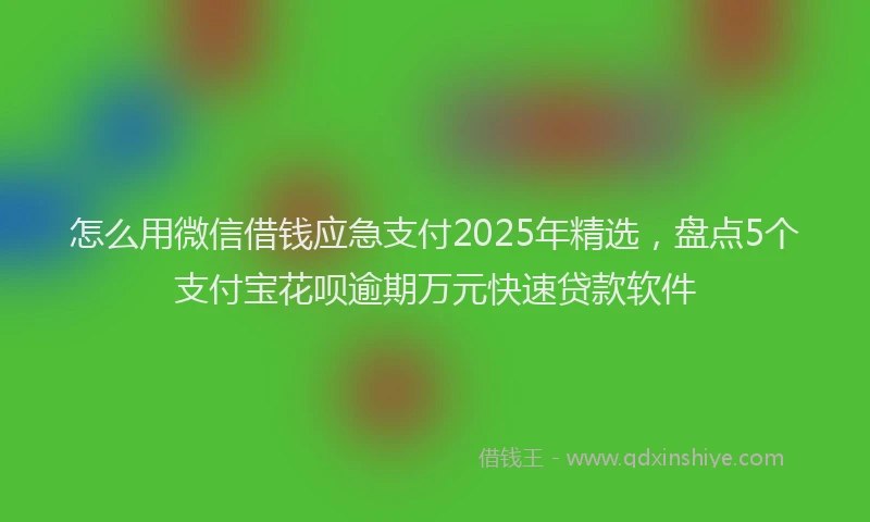 怎么用微信借钱应急支付2025年精选，盘点5个支付宝花呗逾期万元快速贷款软件