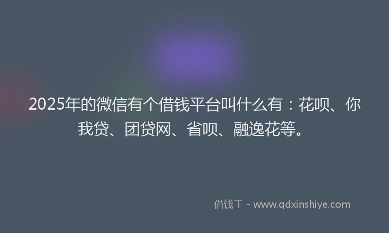 2025年的微信有个借钱平台叫什么有：花呗、你我贷、团贷网、省呗、融逸花等。