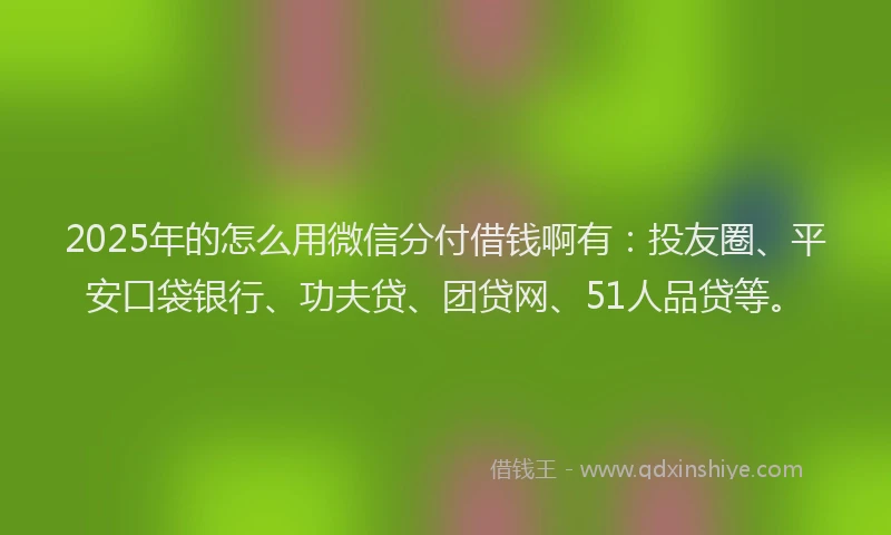 2025年的怎么用微信分付借钱啊有：投友圈、平安口袋银行、功夫贷、团贷网、51人品贷等。