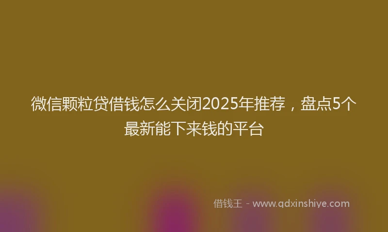 微信颗粒贷借钱怎么关闭2025年推荐，盘点5个最新能下来钱的平台