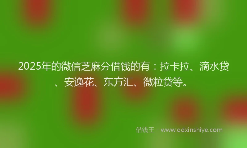 2025年的微信芝麻分借钱的有：拉卡拉、滴水贷、安逸花、东方汇、微粒贷等。