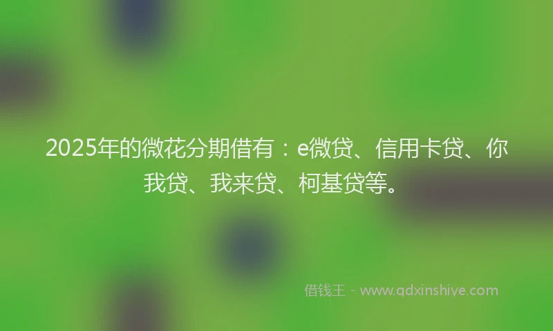 2025年的微花分期借有：e微贷、信用卡贷、你我贷、我来贷、柯基贷等。