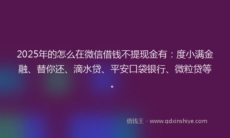 2025年的怎么在微信借钱不提现金有：度小满金融、替你还、滴水贷、平安口袋银行、微粒贷等。