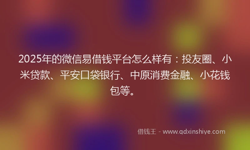 2025年的微信易借钱平台怎么样有：投友圈、小米贷款、平安口袋银行、中原消费金融、小花钱包等。