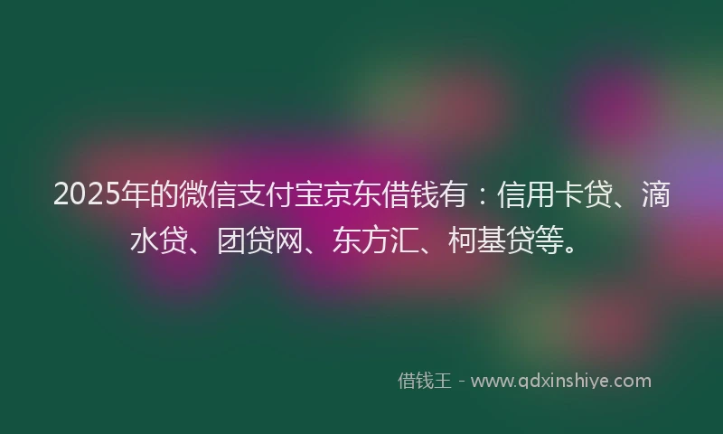 2025年的微信支付宝京东借钱有：信用卡贷、滴水贷、团贷网、东方汇、柯基贷等。