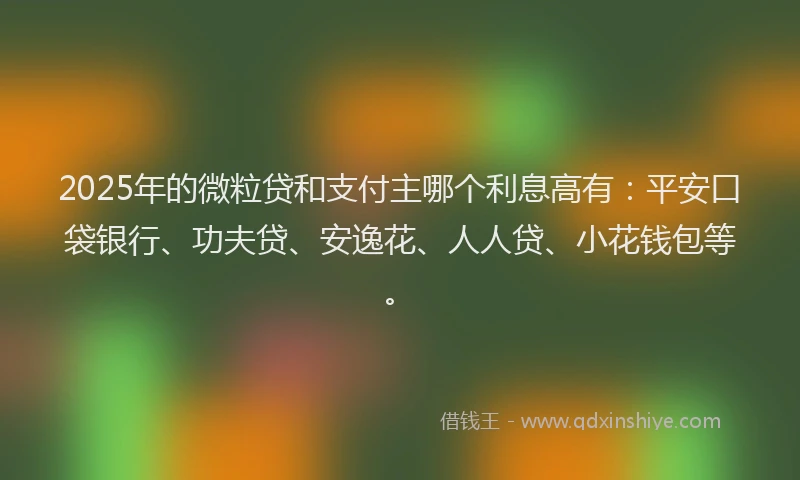 2025年的微粒贷和支付主哪个利息高有：平安口袋银行、功夫贷、安逸花、人人贷、小花钱包等。