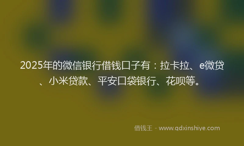 2025年的微信银行借钱口子有：拉卡拉、e微贷、小米贷款、平安口袋银行、花呗等。