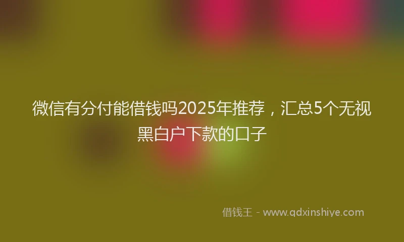 微信有分付能借钱吗2025年推荐，汇总5个无视黑白户下款的口子