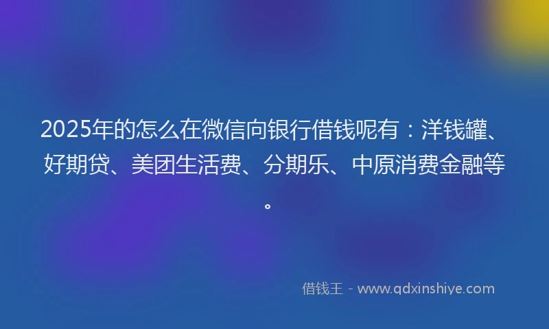 2025年的怎么在微信向银行借钱呢有：洋钱罐、好期贷、美团生活费、分期乐、中原消费金融等。