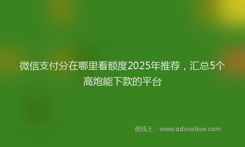 微信支付分在哪里看额度2025年推荐，汇总5个高炮能下款的平台