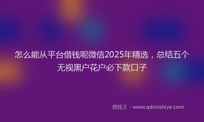 怎么能从平台借钱呢微信2025年精选，总结五个无视黑户花户必下款口子