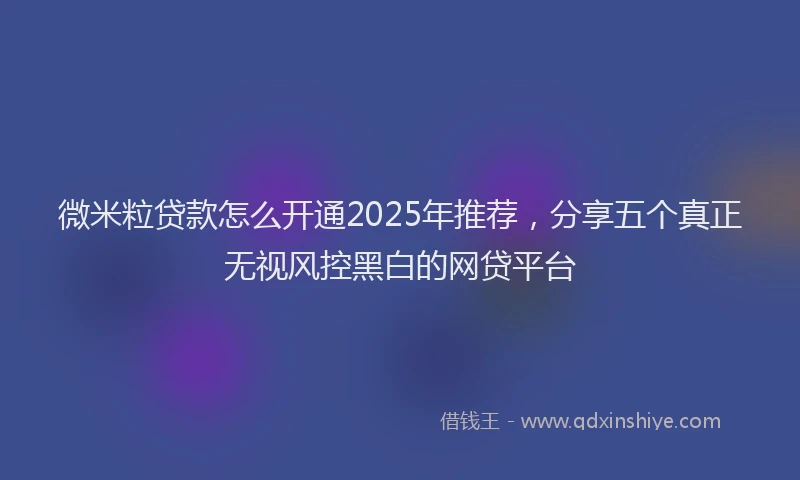 微米粒贷款怎么开通2025年推荐，分享五个真正无视风控黑白的网贷平台