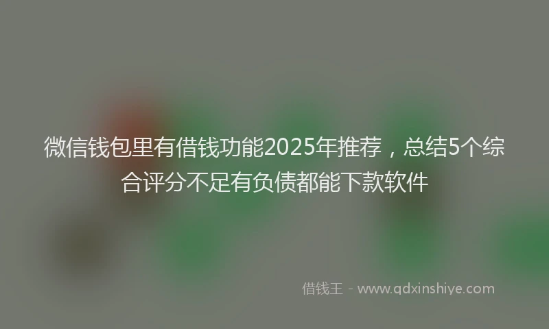 微信钱包里有借钱功能2025年推荐，总结5个综合评分不足有负债都能下款软件