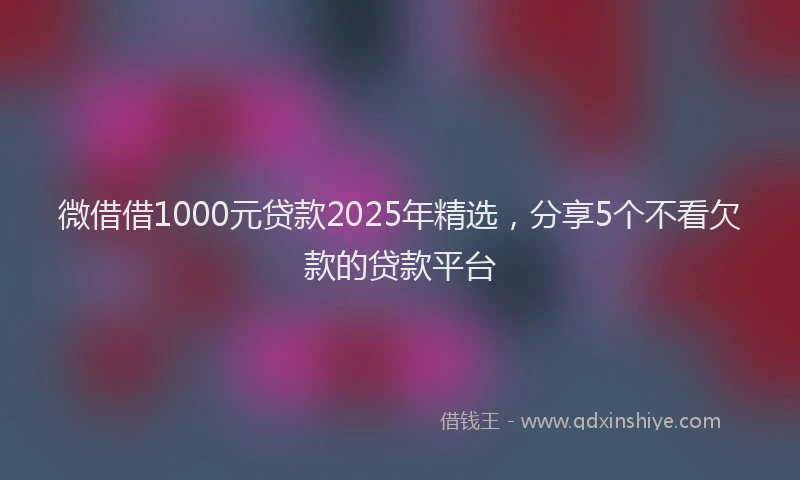 微借借1000元贷款2025年精选，分享5个不看欠款的贷款平台